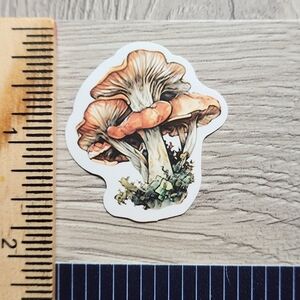 10/$10 Stickers Mushrooms Nature Fungi